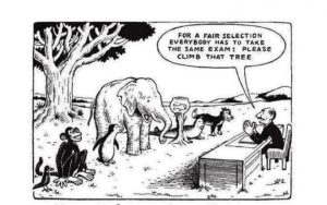 The image uses an allegory to explain how different sustainability specialists have different domain expertise and judging them by the same standards could be bad for business
