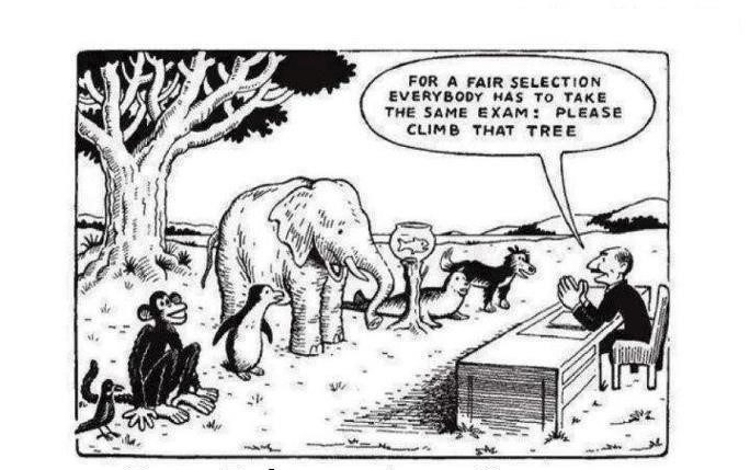 The image uses an allegory to explain how different sustainability specialists have different domain expertise and judging them by the same standards could be bad for business