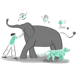 Wildlife detection Wildlife detection